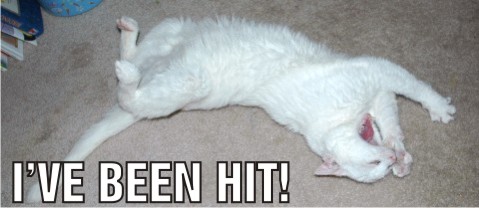 beenhit.jpg