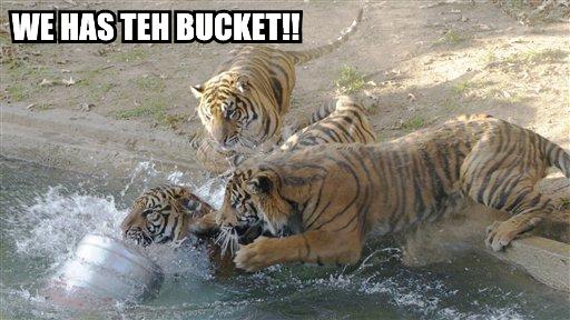 bucket3lt8.jpg
