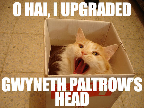 cat_head_box.jpg
