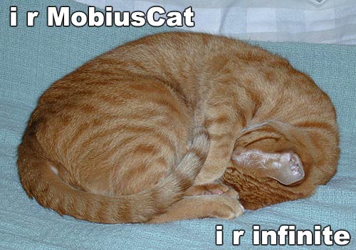 cat_mobius.jpg