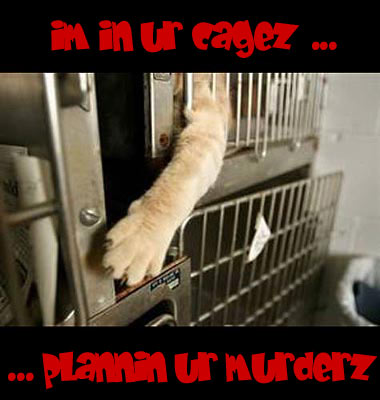 cat_unlock.jpg