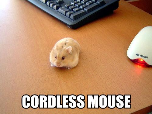 cordless-mouse.jpg