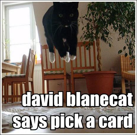 david-blanecat-says-pick-a-card.jpg