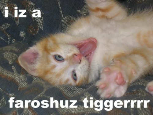 faroshuz-tiggerrrr.jpg