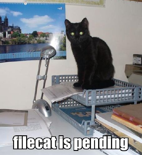 filecat-is-pending.jpg