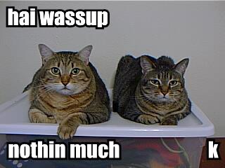 hai-wassup-nothin-much-k.jpg
