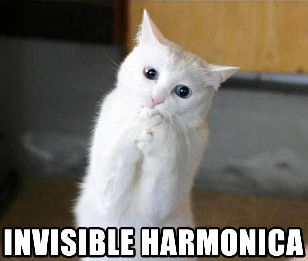 harmonicaky3.jpg