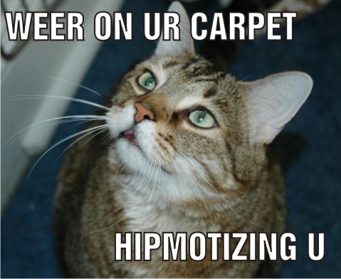 hipmotize.jpg