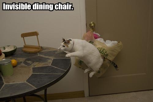 invisible-dining-chair.jpg