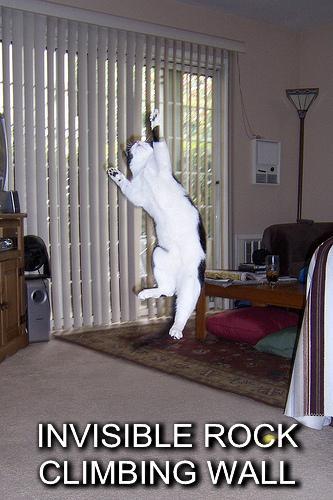 invisible-rock-climbing-wall.jpg
