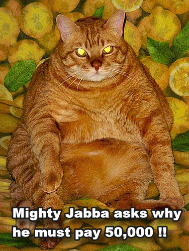jabba-cat.jpg