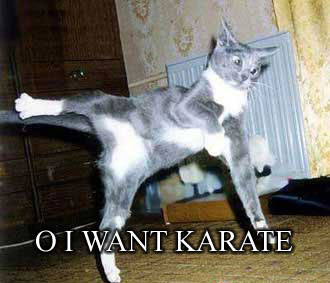 karate3.jpg