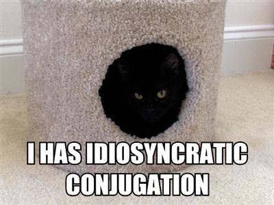 lolcatskittypidgin.jpg