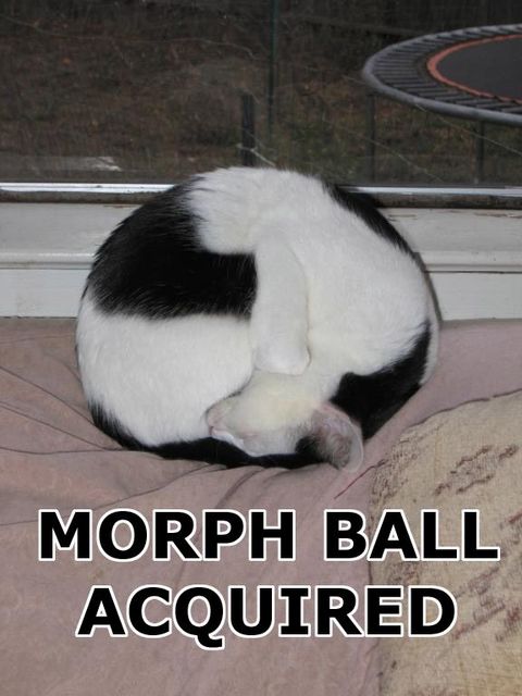 morphball.jpg