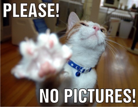 nopictures.jpg