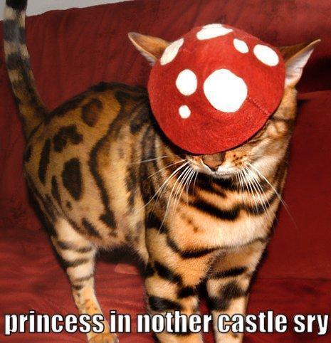princess.jpg