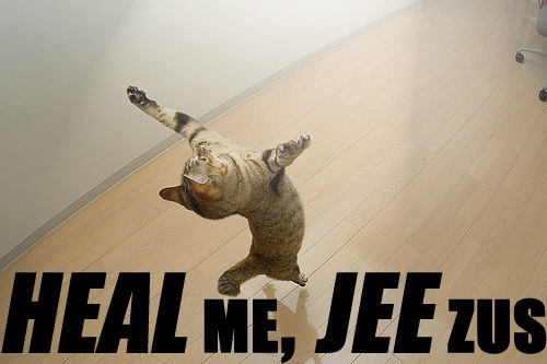 savedcat.jpg
