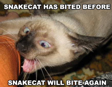 snakcat.jpg