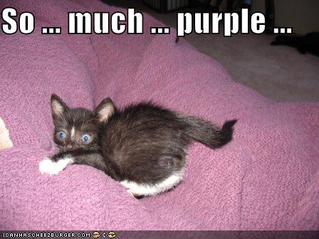 so-muich-purple.jpg