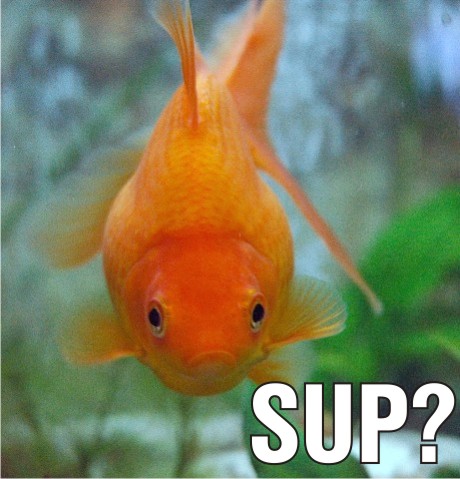 sup.jpg