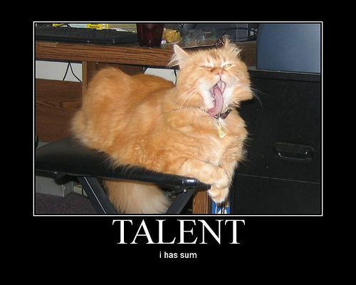 talent.jpg