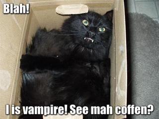 vamp.jpg