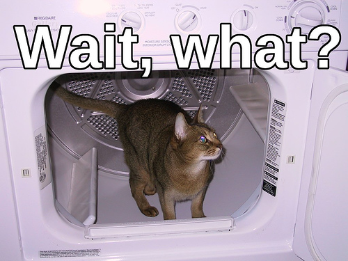 waitwhat.jpg